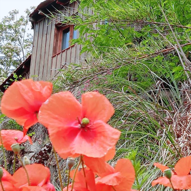 Chalet Tarascon-sur-Ariège