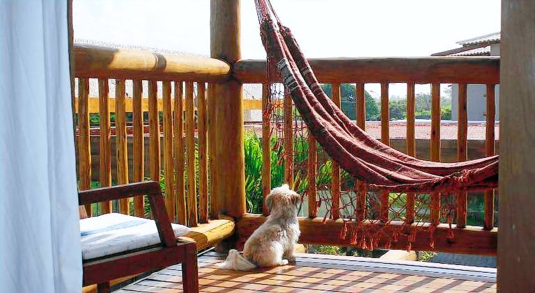 Rental apartment with pool | Pet-friendly — photo 4
