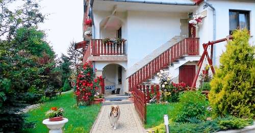 Bed & Breakfast Koninki