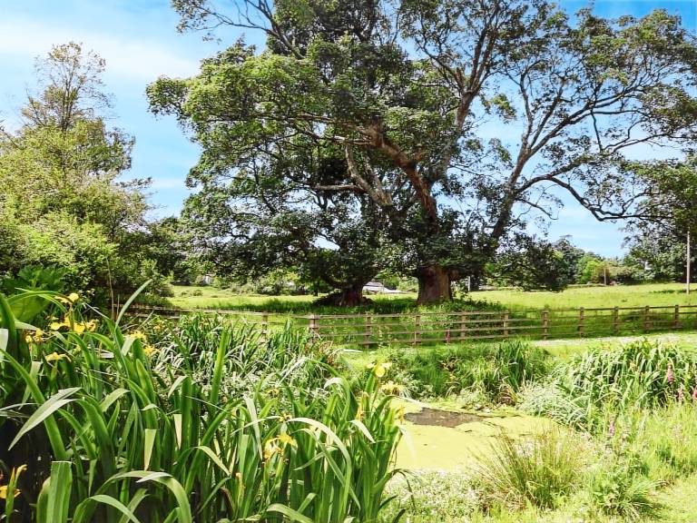 Fully equipped beautiful cottage with grill & yard | Pets allowed — photo 3
