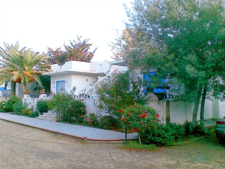 foto1
