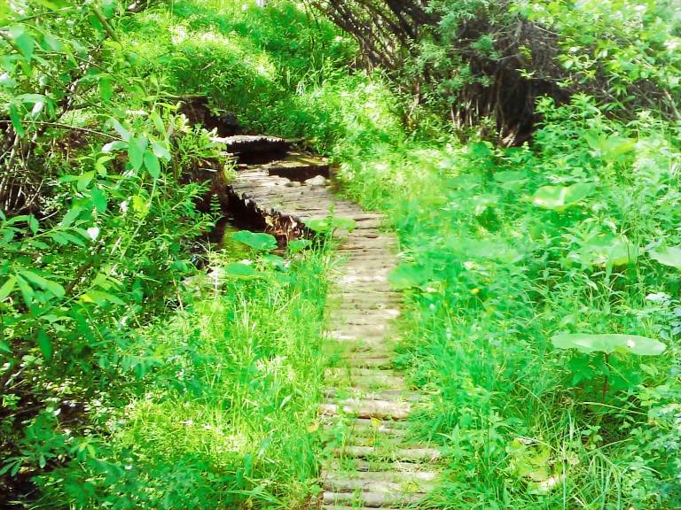 Vacation home with garden, patio & barbecue | Nature view — photo 4