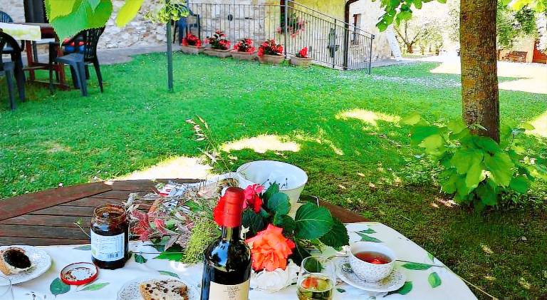 Farm with garden, pool & barbecue — photo 5