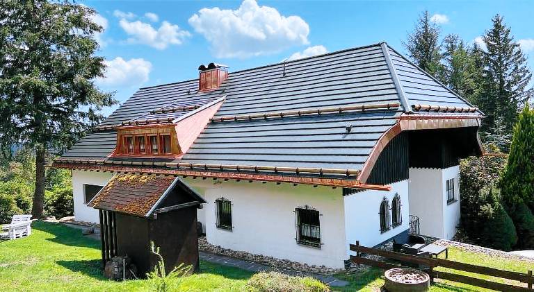 Spacious house with pool | Pets allowed in Feldberg