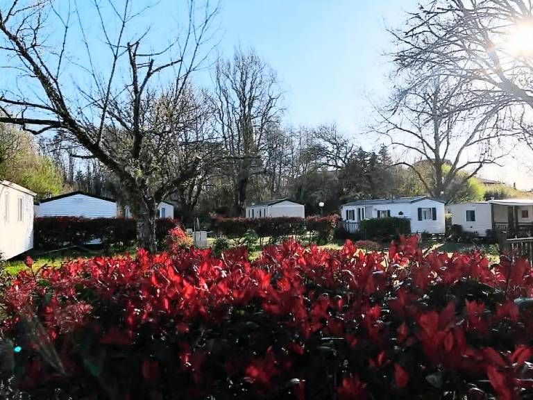 Mobile home with terrace & yard — photo 3