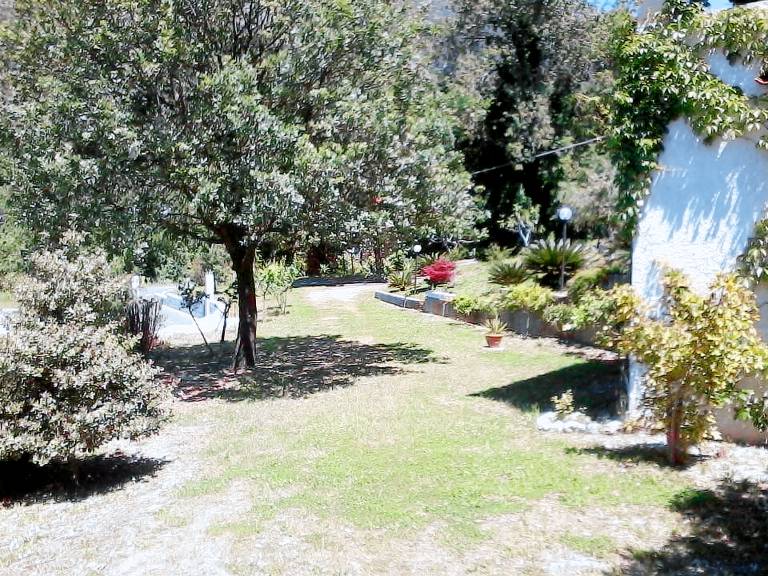 Apartment with yard — photo 3
