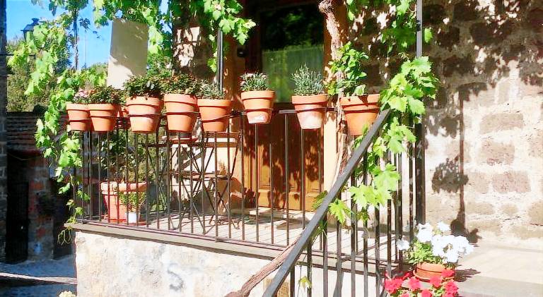 House | Dogs allowed — photo 3
