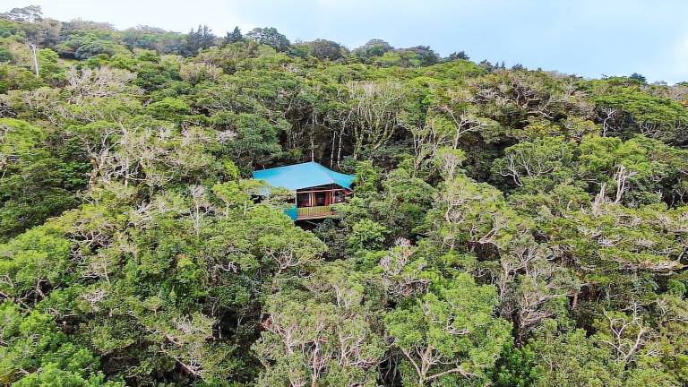 Albergue Monteverde
