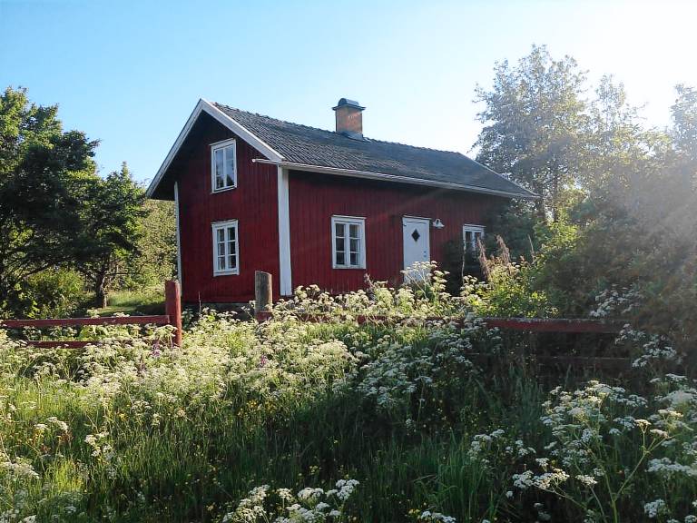 House with grill & garden — photo 2