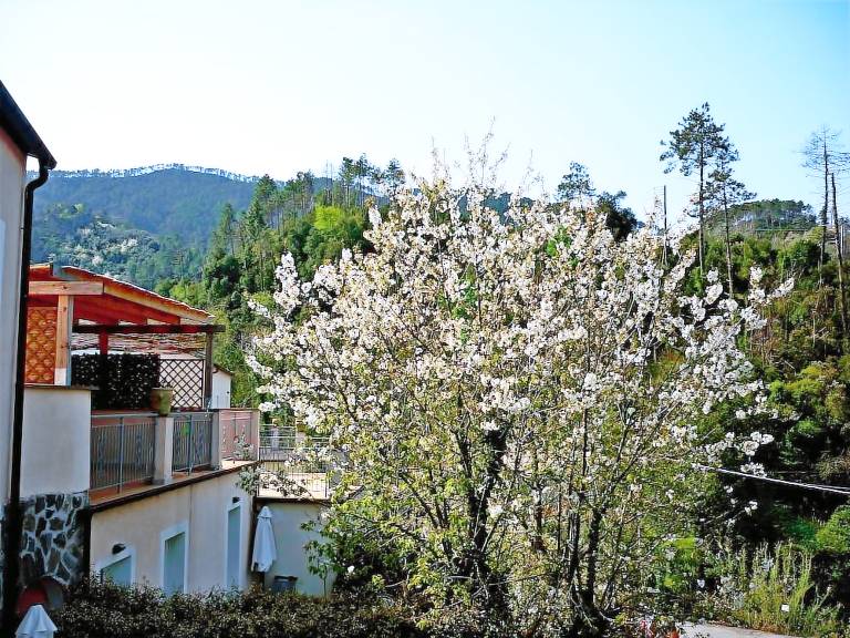 Aparthotel  Levanto