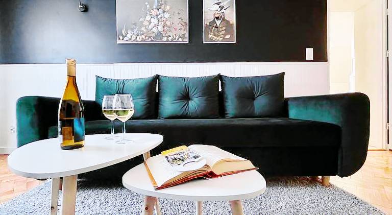 Beautiful rental apartment | Dogs allowed in Jelenia Gora