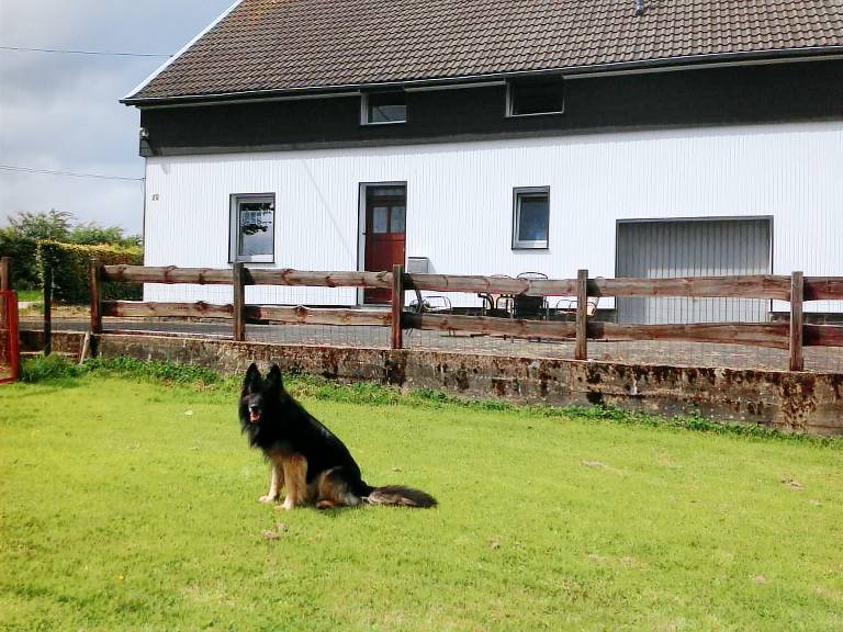 House with terrace, yard & barbeque | Pets allowed — photo 2
