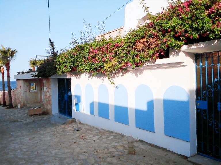 foto1