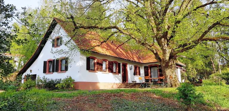 Ferienhaus Unterer Herrnkopf