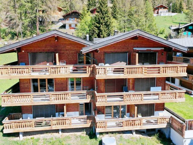 Appartement Fiesch