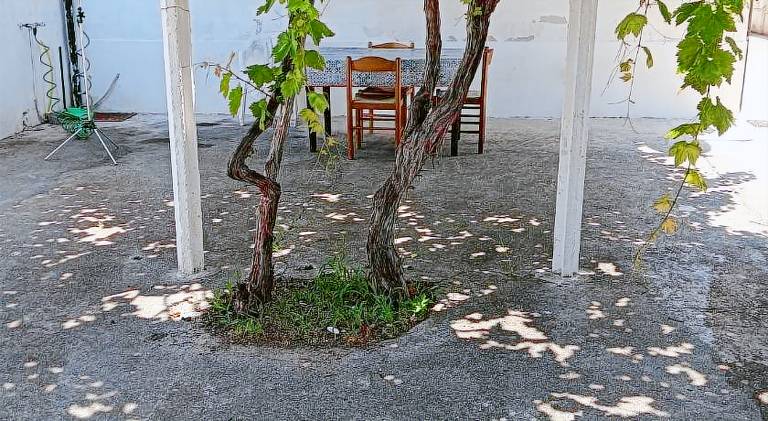 Vacation home with 2 rooms for 5 persons in Belvedere Marittimo