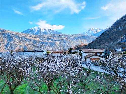 Bed & Breakfast Martigny
