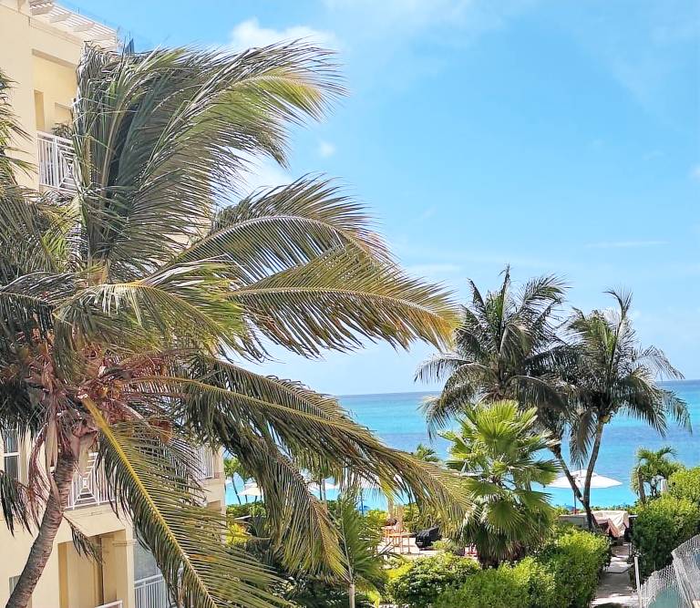 Resort  The Bight Settlement