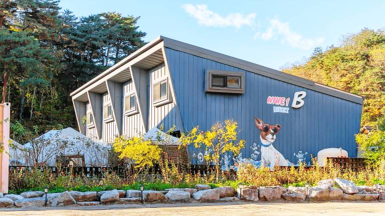 Gangneung NineOne Pet Pension in Gangneung