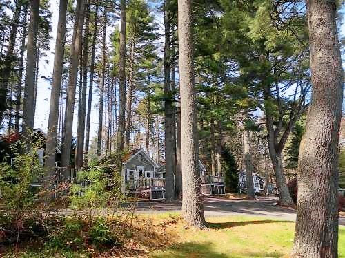 Resort Lincolnville