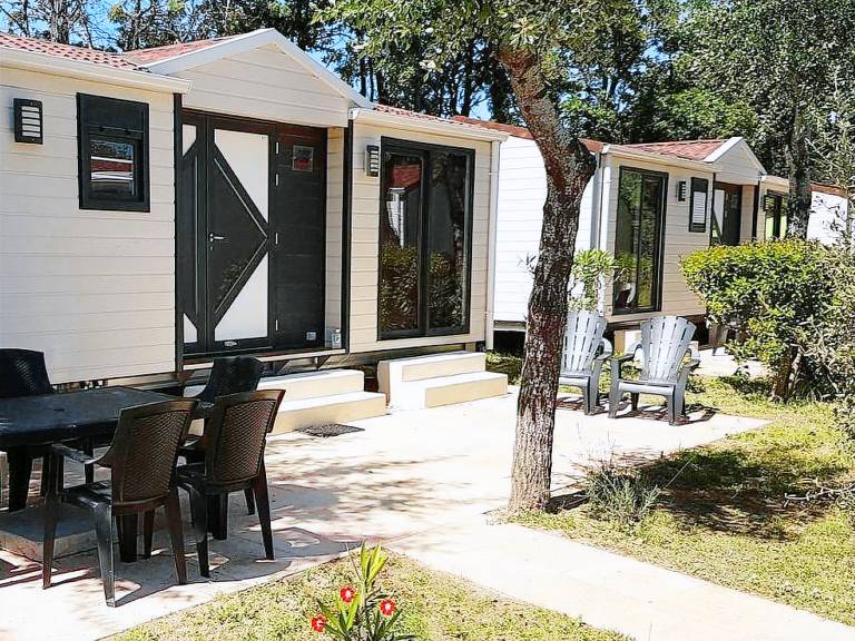 Mobile home with pool — photo 4