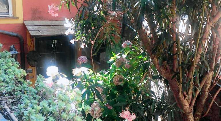 Rental apartment with 1 room for 4 persons in Monterosso al Mare