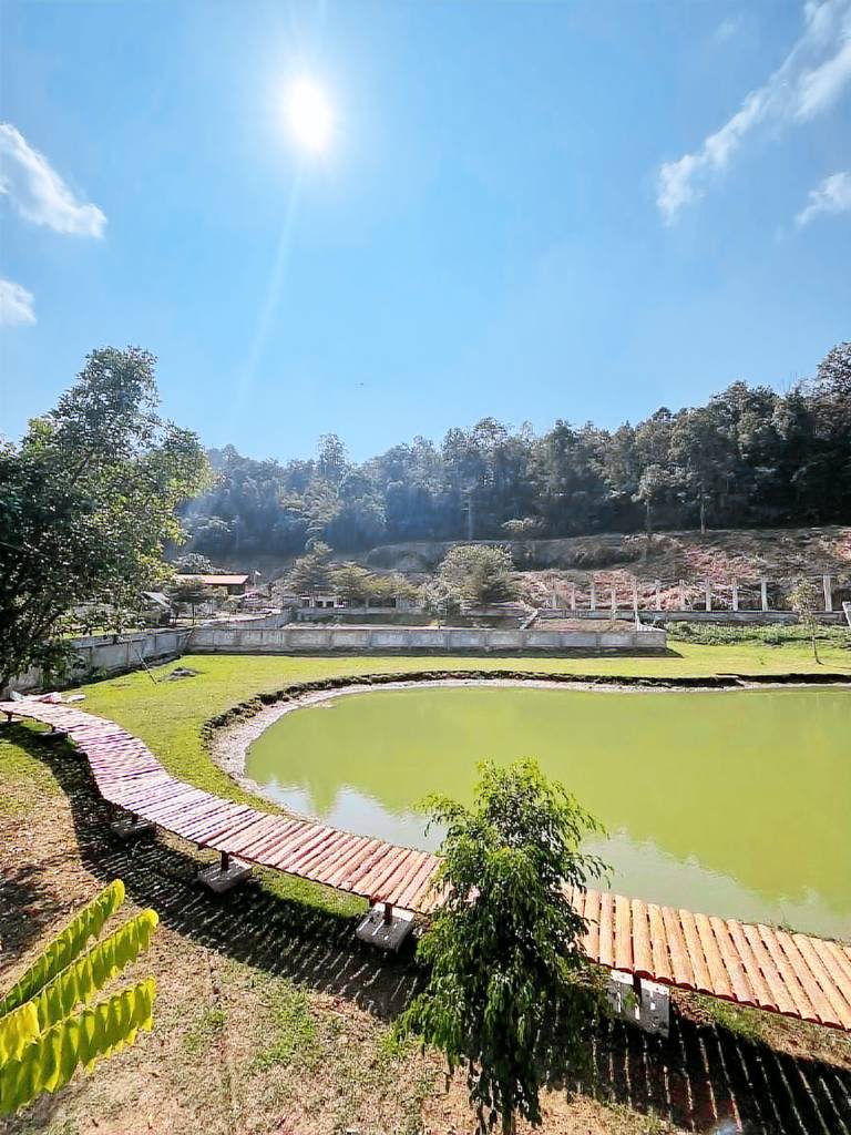Pleasant farm with yard, pool & patio | Pet-friendly in Chiang Mai