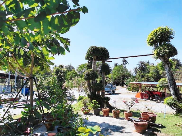 foto4