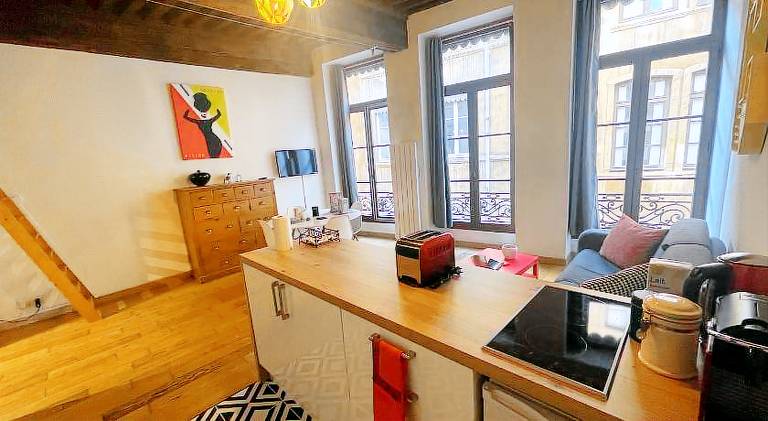 Holiday apartment | Next to Place Bellecour | Pet-friendly — photo 4