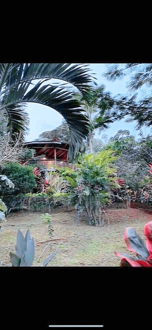 Cabin  San José