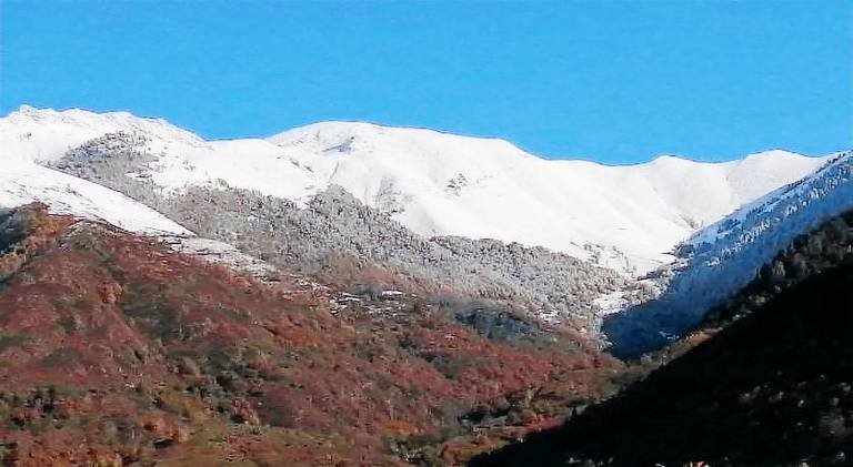 Pleasant holiday apartment | Close to the ski | Dogs allowed — photo 4