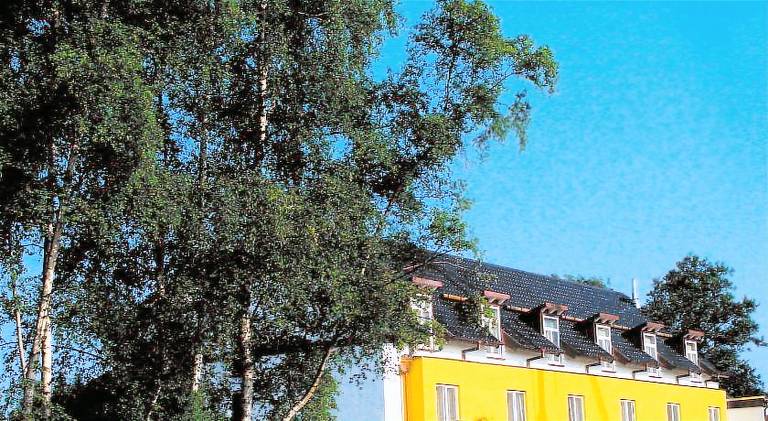 Haus am Meer Steinhude — photo 5