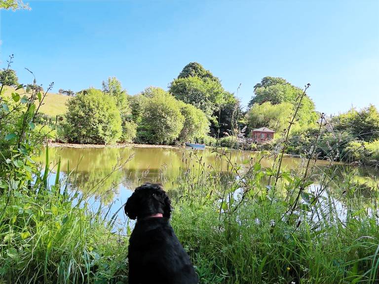 Cottage with garden & BBQ — photo 3