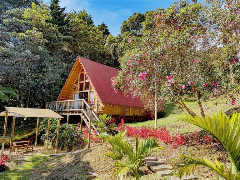 Cabin  Medellín