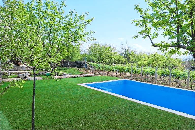 Villa with private pool, yard & fast internet | Mountain view — photo 3