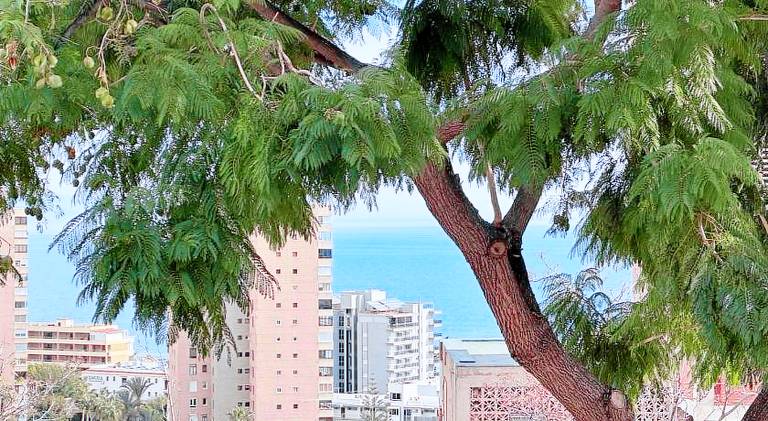 Holiday apartment with private pool & patio in Torremolinos