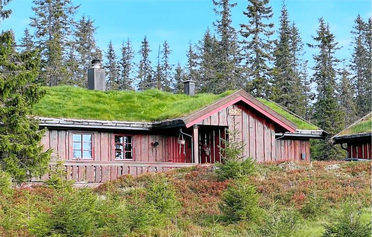 Feriehus Sjusjøen