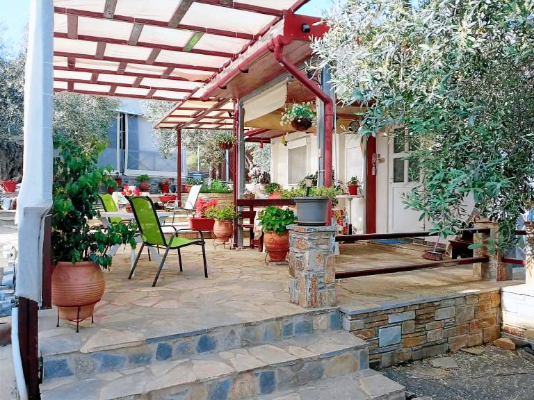 Apartment  Amaliapoli