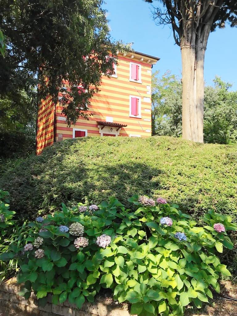 Camera privata  Volta mantovana