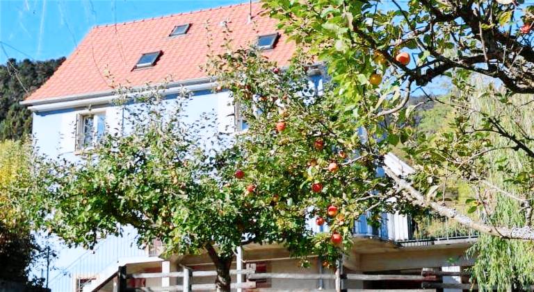 Apartment with 1 room for 3 persons in Thann