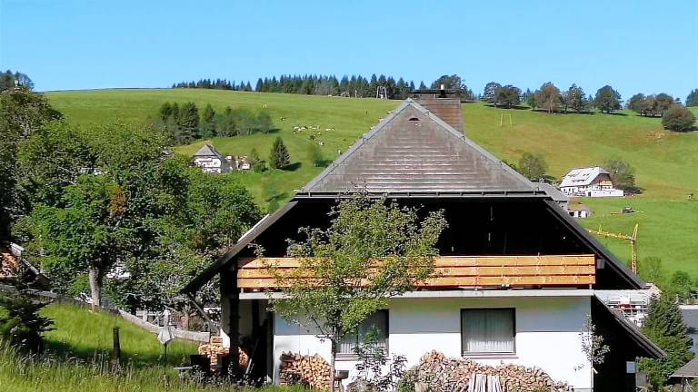 Ferienhaus  Hofsgrund