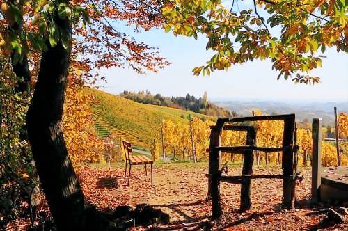 Bed & Breakfast Gemeinde Leutschach