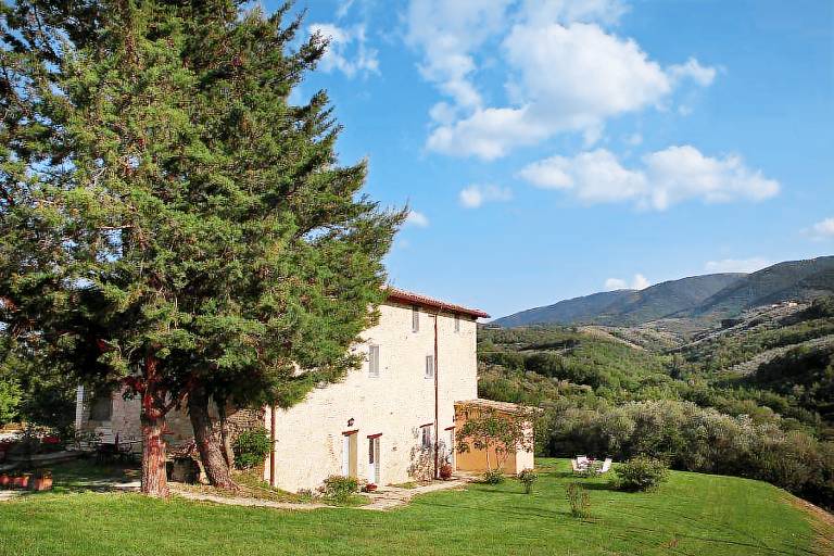 Tenuta San Felice: GELSO — photo 4