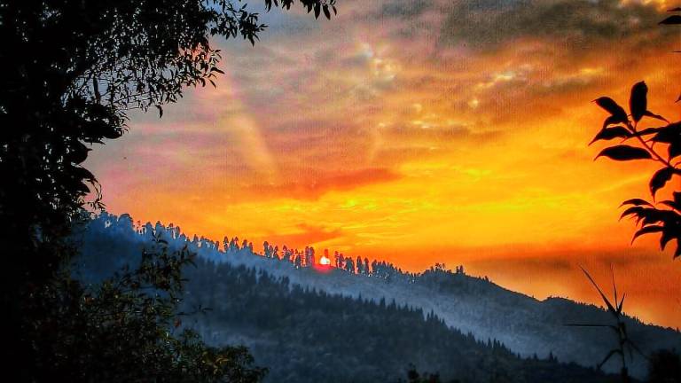 Boho Homestay, Rangbhang — photo 2