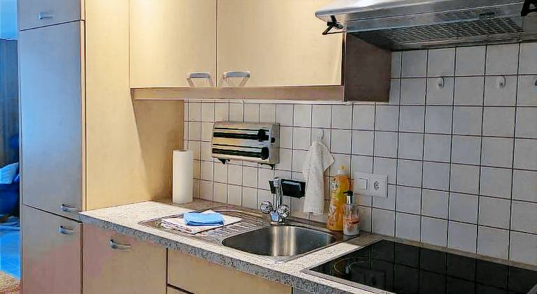 Holiday apartment | Next to the ski | Dogs allowed — photo 3