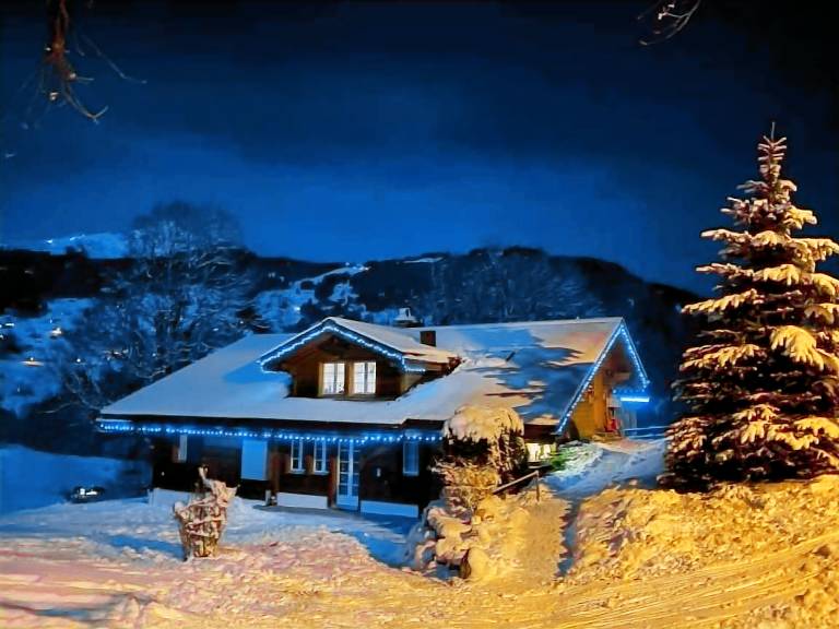 Chalet Wengen
