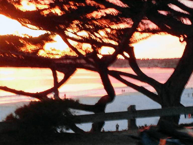 Cottage Carmel-by-the-Sea