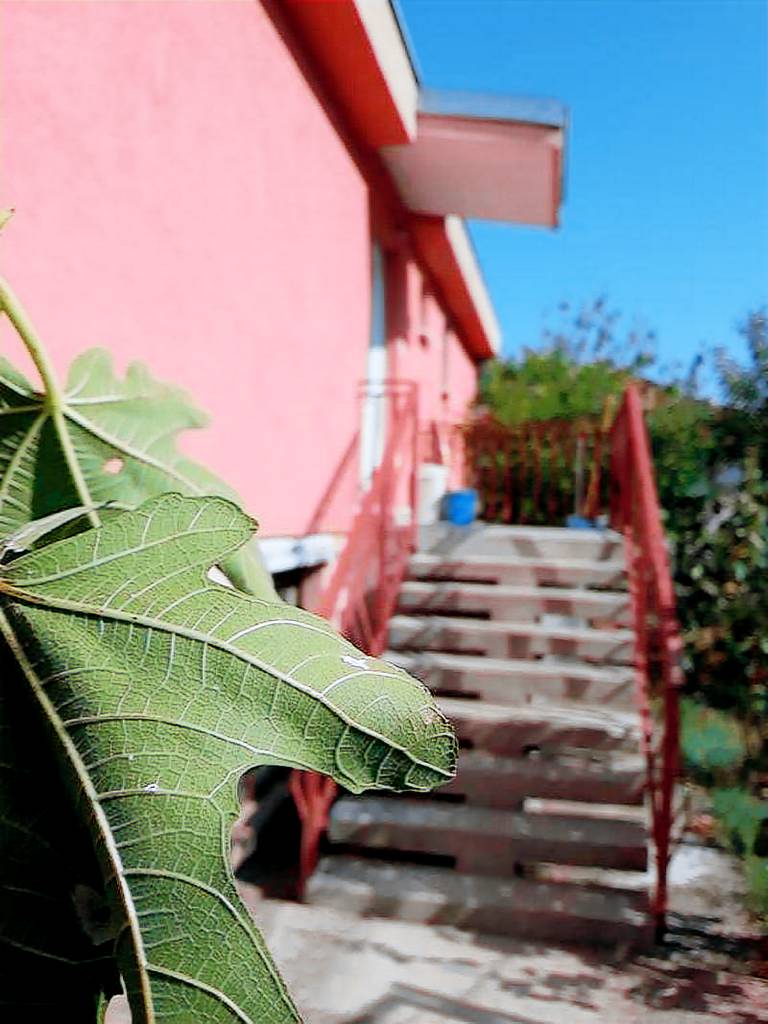 foto11
