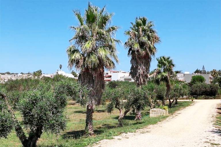 Casa Borgagne