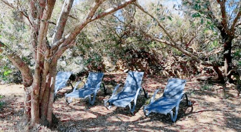 Holiday apartment with 1 room for 4 persons in Porto-Vecchio